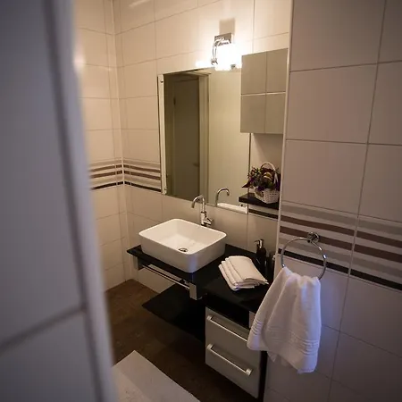 Metropole Cochet Apartament *