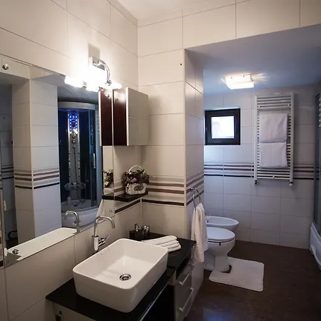 Metropole Cochet Apartament Bukareszt